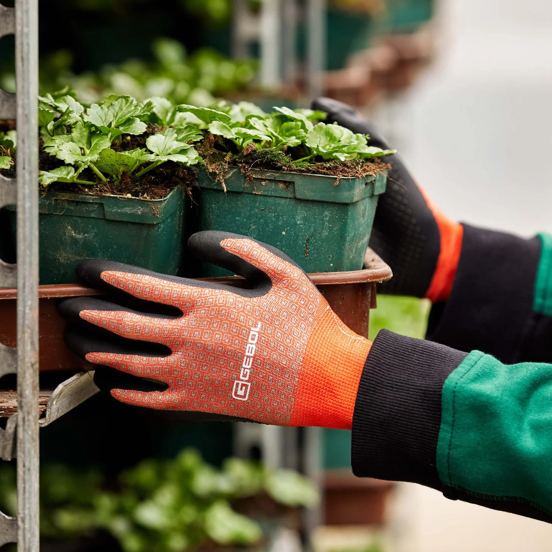 Gebol Clivia | 1 para | rozmiar XXS (rozm. 5) | dziecięce rękawice ogrodowe z funkcją dotykową | oddychająca dzianina z materiału pochodzącego z recyklingu | dla kobiet i dzieci | pomarańczowa