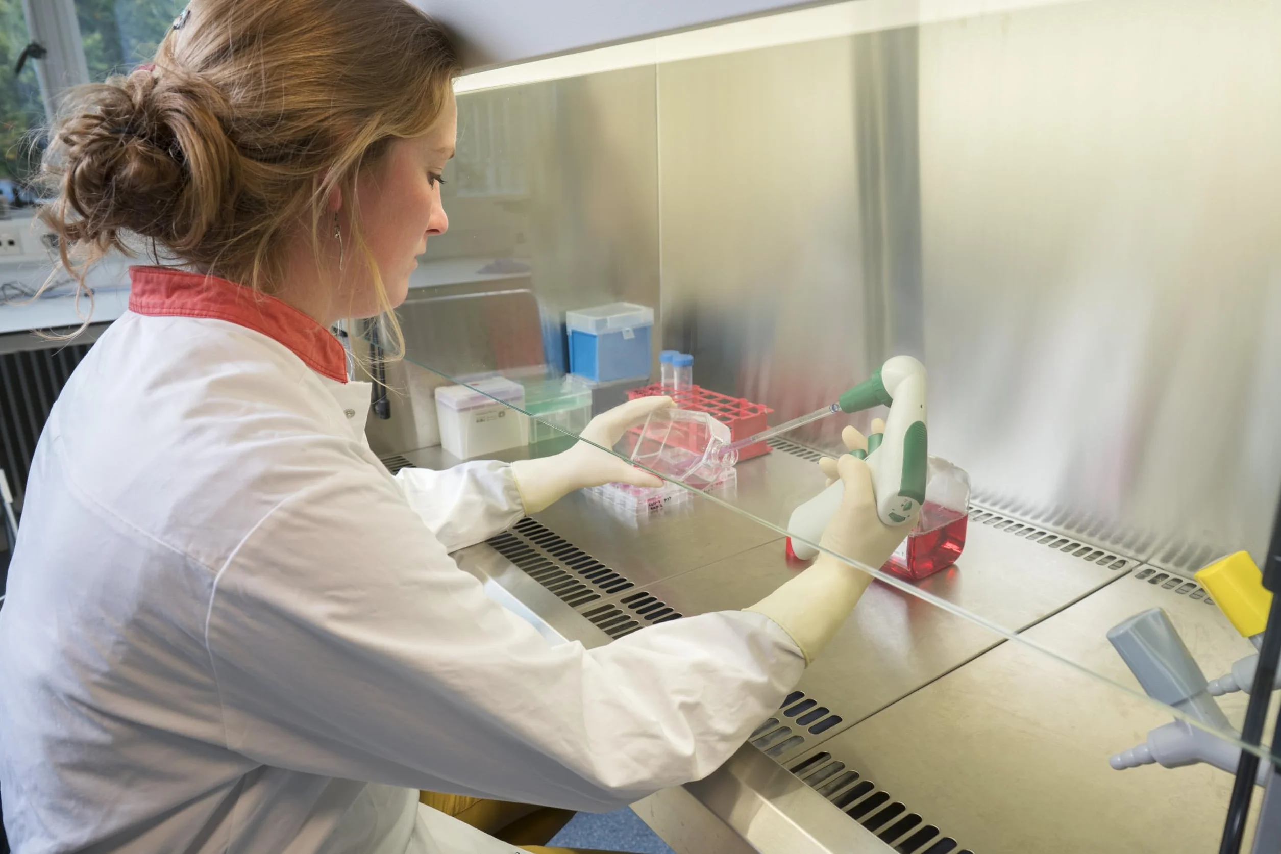 Ansell MICROFLEX 63-864 Jednorazowe rękawiczki Lateksowe,Bezpudrowe rękawice gumowe,Uniwersalne,Do przygotowywania żywności,Rękawiczki kuchenne,laboratoryjne,higieniczne,Białe,S (100 rękawiczek)